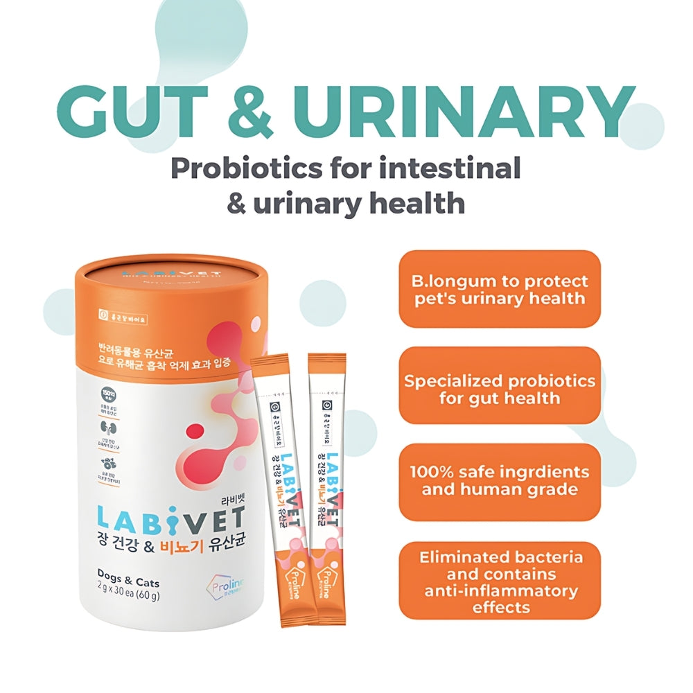 LABIVET Korea Pet Supplement for Dog Cat Joints - Immune Probiotics 60g | Skin & Oral Health Support