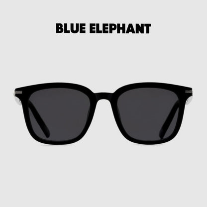 BLUE ELEPHANT NEW DUSTIN BLACK | Korean Fashionable Sunglasses