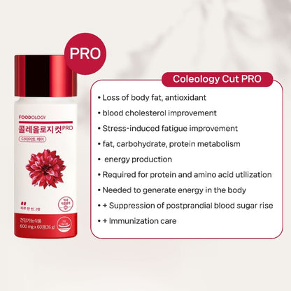 [NEW] FOODOLOGY Coleology Cut PRO, Coleology Tea PRO, Boosting Diet Slimming Set