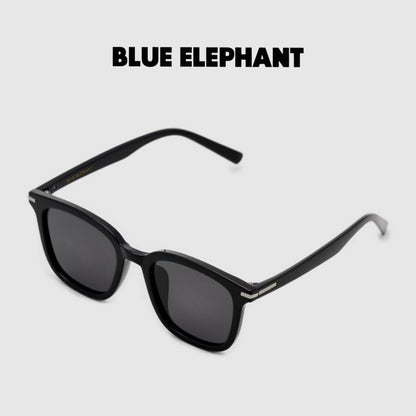 BLUE ELEPHANT NEW DUSTIN BLACK | Korean Fashionable Sunglasses