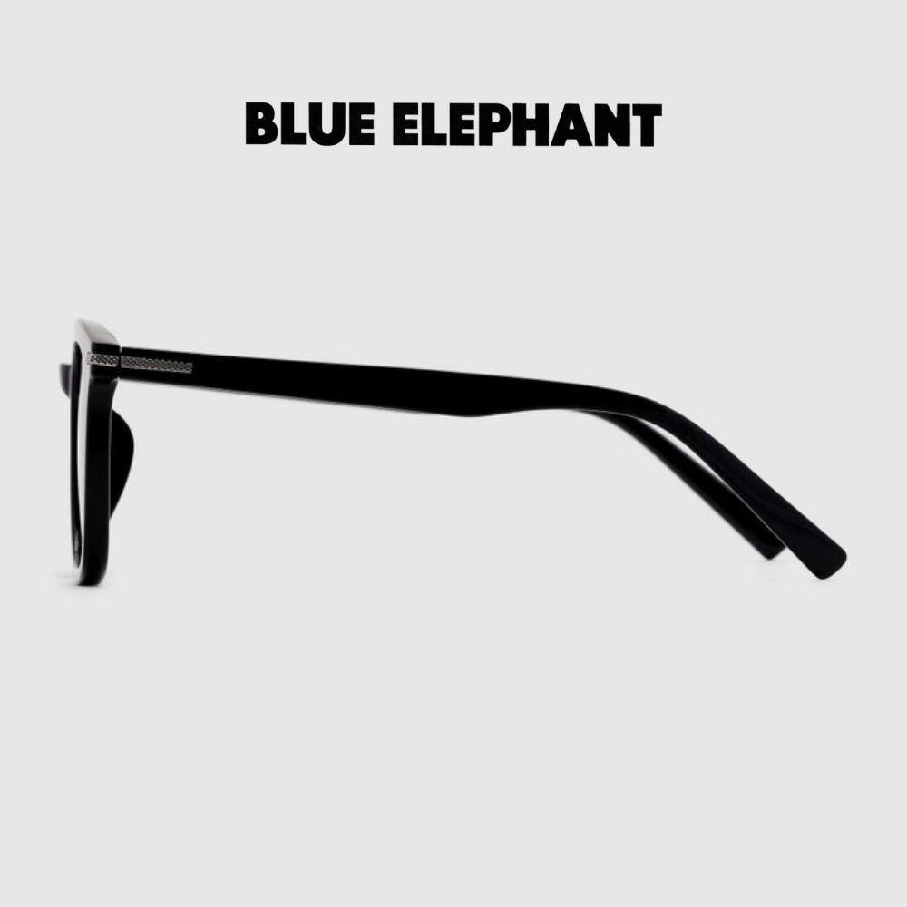 BLUE ELEPHANT NEW DUSTIN BLACK | Korean Fashionable Sunglasses