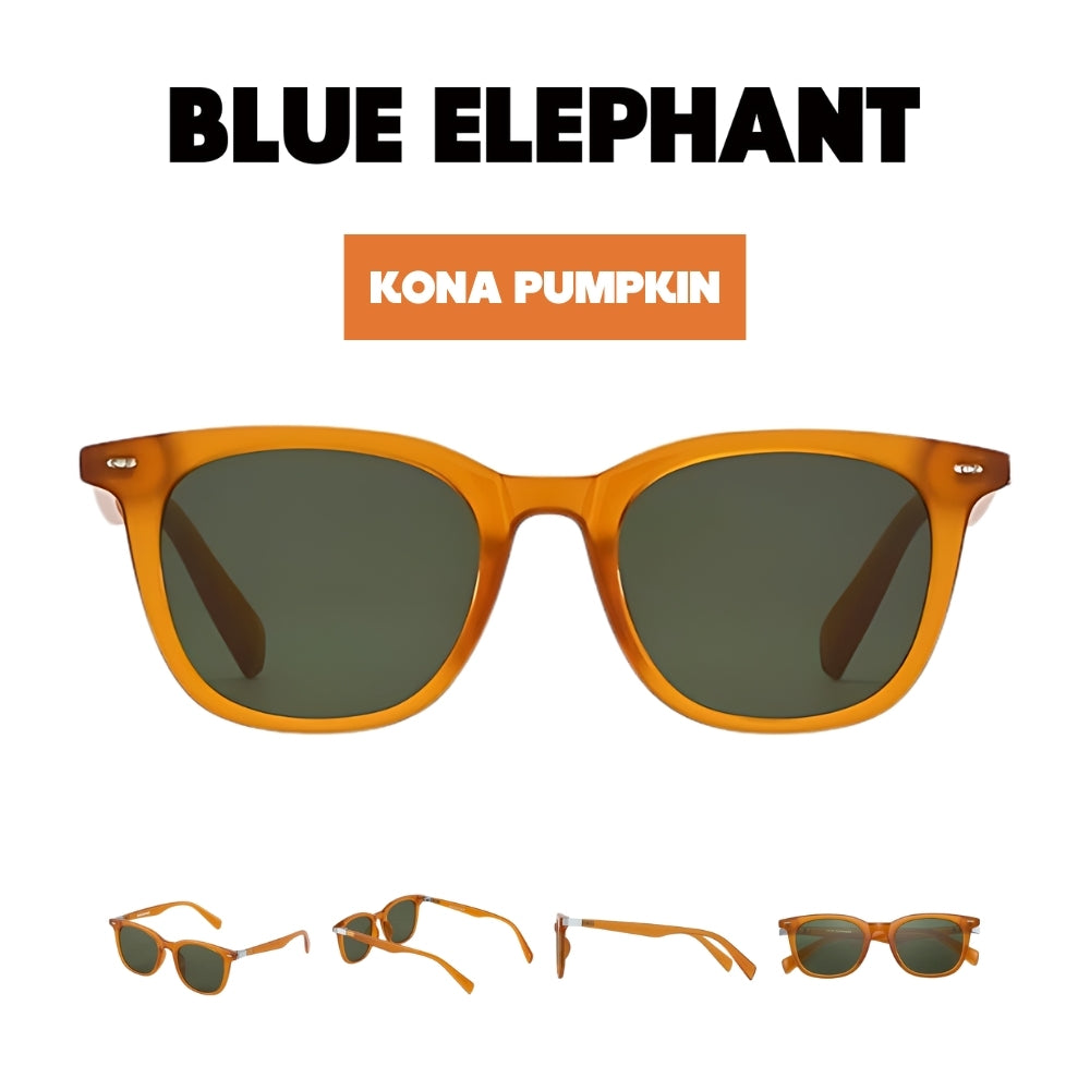 BLUE ELEPHANT KONA 4 colors | Korean Fashionable Sunglasses / UV protection