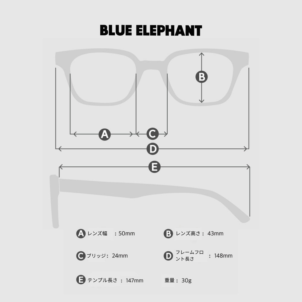 BLUE ELEPHANT NEW DUSTIN BLACK | Korean Fashionable Sunglasses