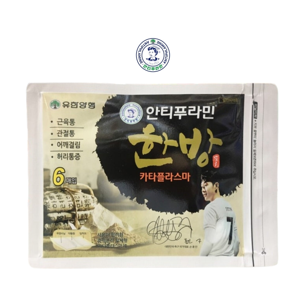 Antiphlamine Oriental Herbal Medicine Cataplasma 6 Sheets - Muscle Pain Relief Plaster