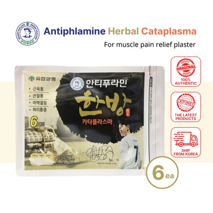 Antiphlamine Oriental Herbal Medicine Cataplasma 6 Sheets - Muscle Pain Relief Plaster