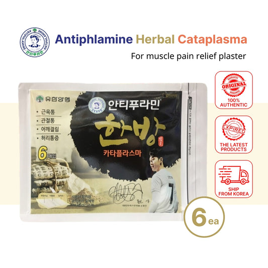 Antiphlamine Oriental Herbal Medicine Cataplasma 6 Sheets - Muscle Pain Relief Plaster