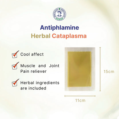 Antiphlamine Oriental Herbal Medicine Cataplasma 6 Sheets - Muscle Pain Relief Plaster