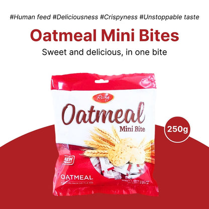 Richy Oatmeal Mini Bite 250g: Diet Snack, Oatmeal Cookies, Cereal Candy 100pcs